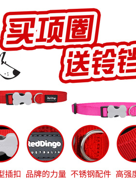 Reddingo狗狗项圈 瑞鼎狗 泰迪金毛比熊萨摩小中大型犬 宠物狗脖