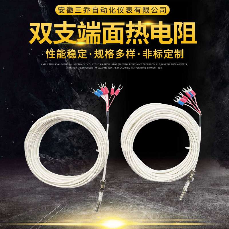 供应双支轴瓦端面热电阻WZPM2-201 分度号PT100 电机轴承温度测量