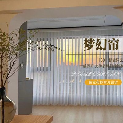 高端电动玉马梦幻帘窗帘遮光2024新款客厅卧室阳台垂直竖百叶纱帘