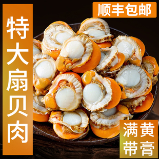 连云港特大扇贝肉超大新鲜冷冻带黄带膏麻辣即食爱游味顺丰包邮