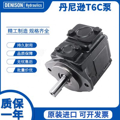 DENISON丹尼逊T6C-022/025/028/031-1R00/1R01/1R02-A1叶片泵