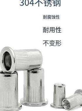 厂家供跨境出售-199pcs铆钉螺母304不锈钢 组合套装