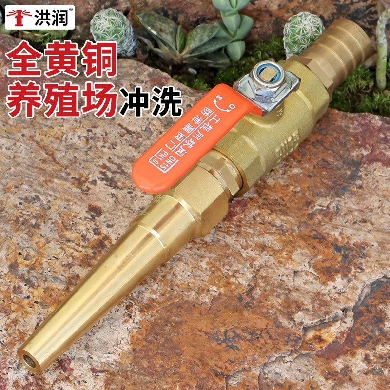 黄铜直喷冲洗水枪喷头猪圈养殖场鸡棚球阀开关大流量货车强力洒水