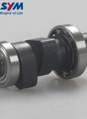 三阳 XS50QT8 taking50 凸轮轴 原装 包邮