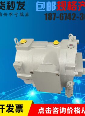 日本转子泵RP23A1-22-30-028，油泵RP38A1-37-30，现货