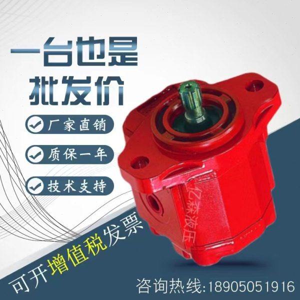 德国布赫BUCHER齿轮泵AP/APR212LN-4.5/6.5/8.5/11/15/19/22/26