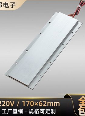 600W220V绝缘恒温PTC陶瓷发热片电加热器加热板可定制地暖配件