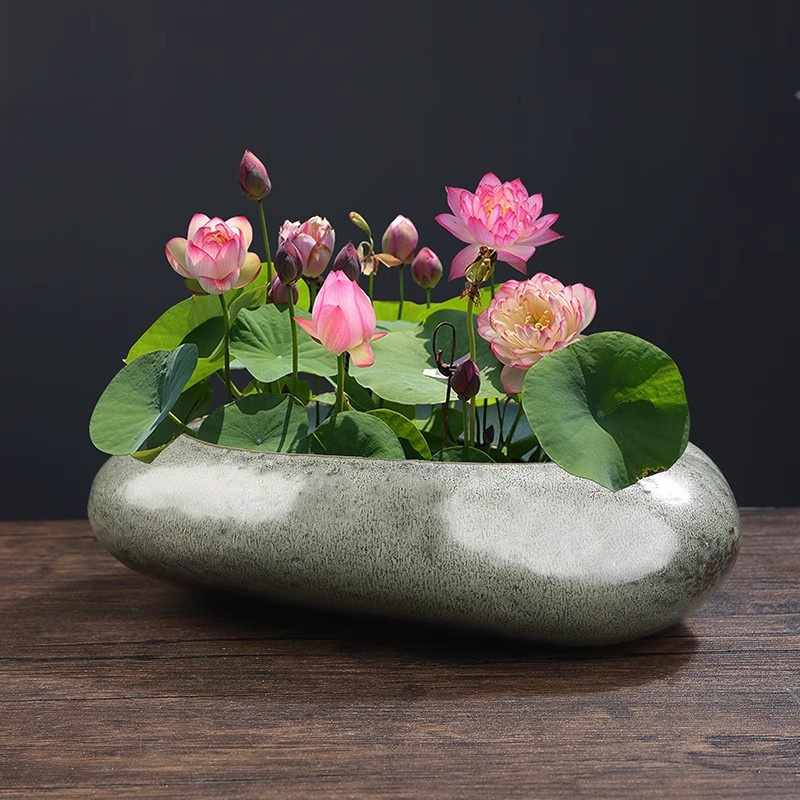 仿石头古典陶瓷花盆水培简约大号碗莲睡莲铜钱草绿萝X金鱼盆缸无