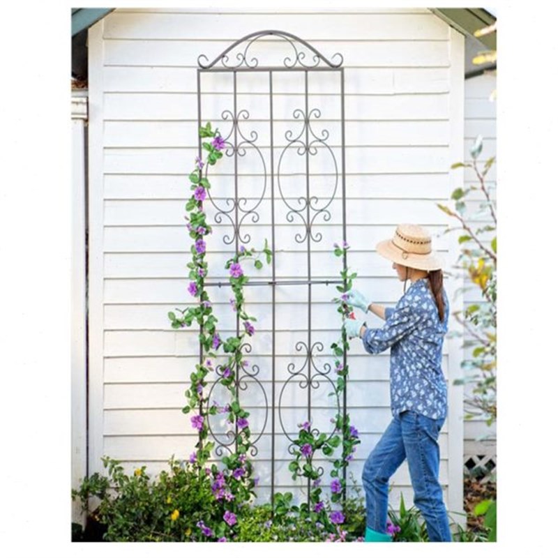 铁艺爬藤架攀爬花支架p爬藤支架花盆支架 铁线莲爬藤架花支撑篱笆