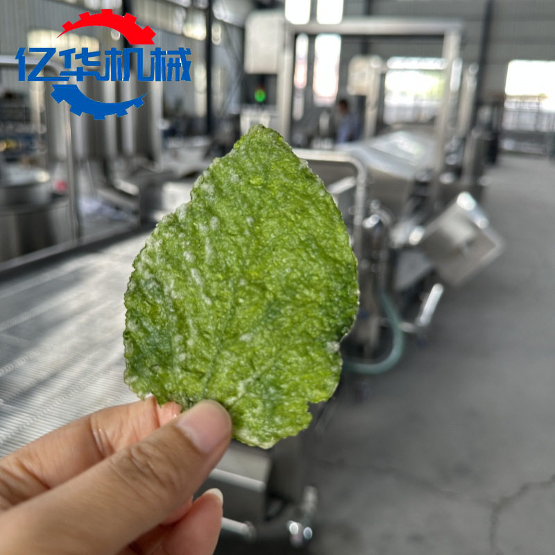 桑叶上浆油炸机 香酥翠叶裹浆油炸流水线 菩提南瓜上浆油炸设备
