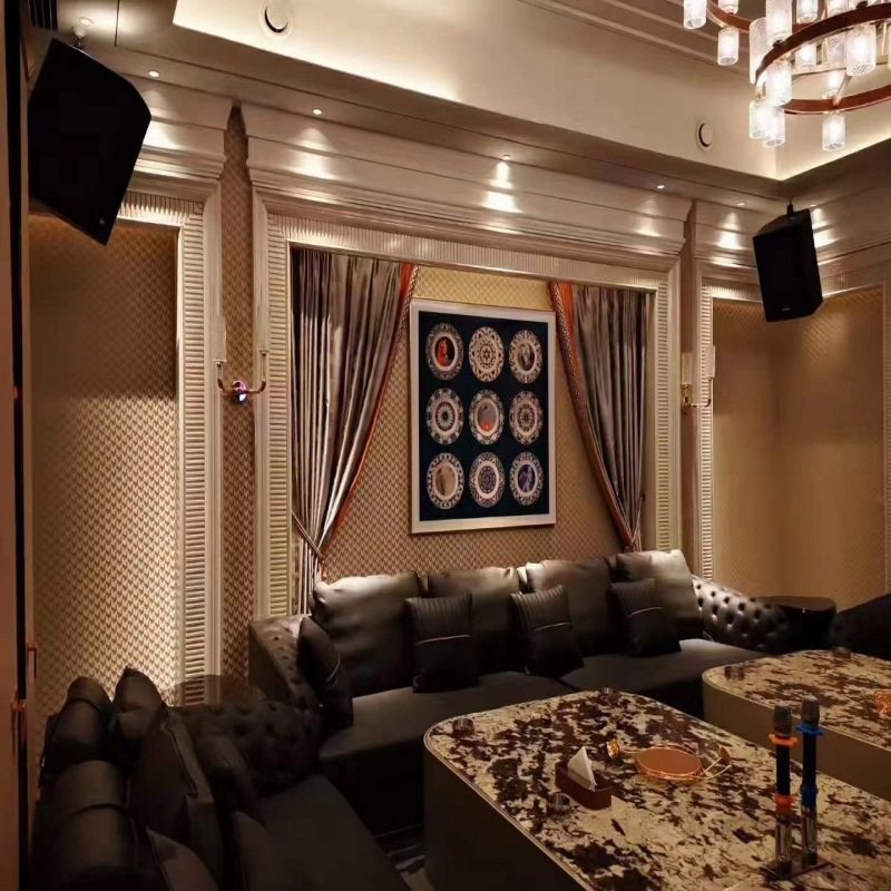 深圳12寸专业无源音箱广场户外多媒体会议音响舞台婚庆演出KTV,家装灯饰光源,氛围灯,淘宝优惠券,粉丝福利购,淘宝优惠卷