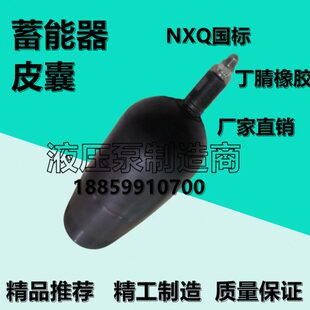 100L皮囊 1.6 2.5 6.3 NXQ蓄能器0.63