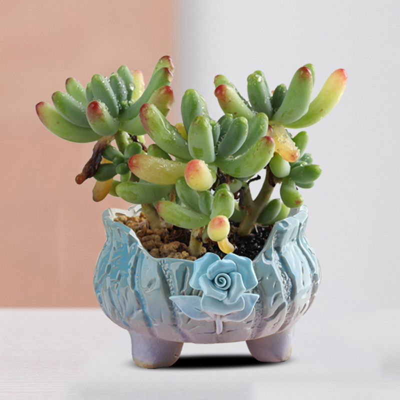 个性创意多肉陶瓷花盆悬崖桩y老桩缺口捏花欧式造型盆室内专用包
