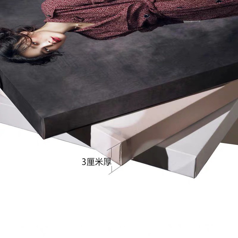 现代客厅北欧斑马装饰画油s画布帆布画无框画挂画海报跨境货源203图片