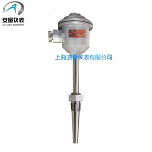 锥形保护管 640 双支隔爆本安热电偶 WRN2 上海自动化仪表三厂