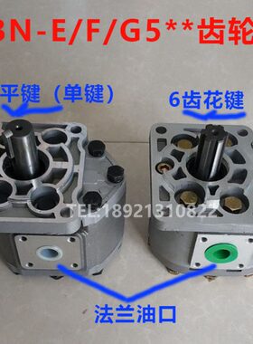 齿轮泵CBN-E525 CBN-E532 CBN-E540 CBN-E550 CBN-E563 CBN-E580