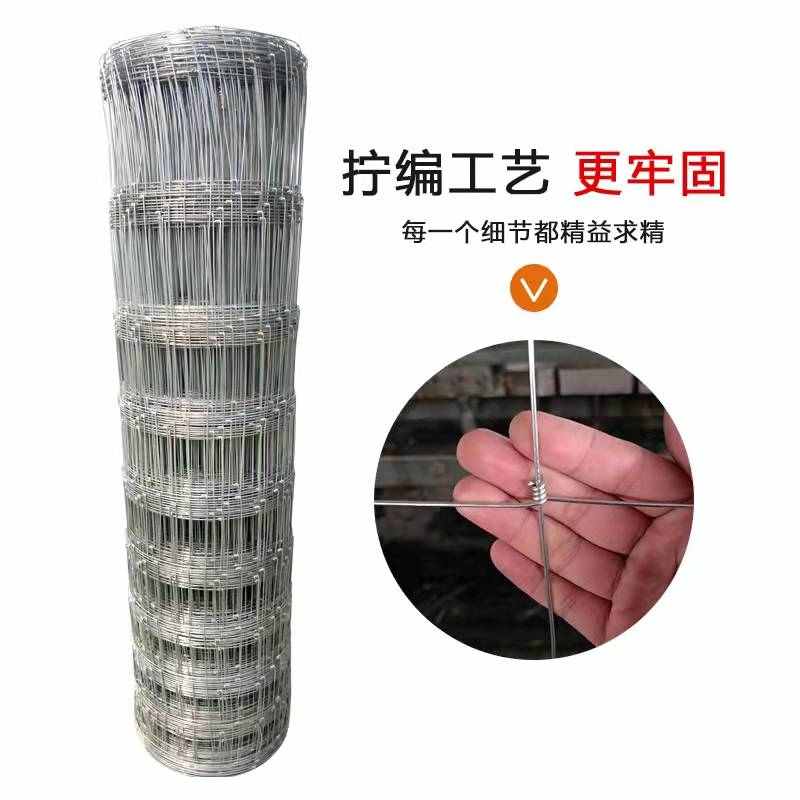 镀锌铁丝网牛栏网养殖防护网隔离网格养牛羊钢丝护栏网果园围栏网