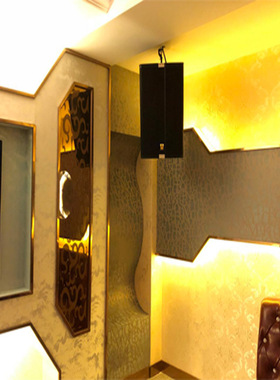 MXD猛帝森 TS-10卡拉OK音箱 KTV包房音响 会议室音箱 12寸酒音箱