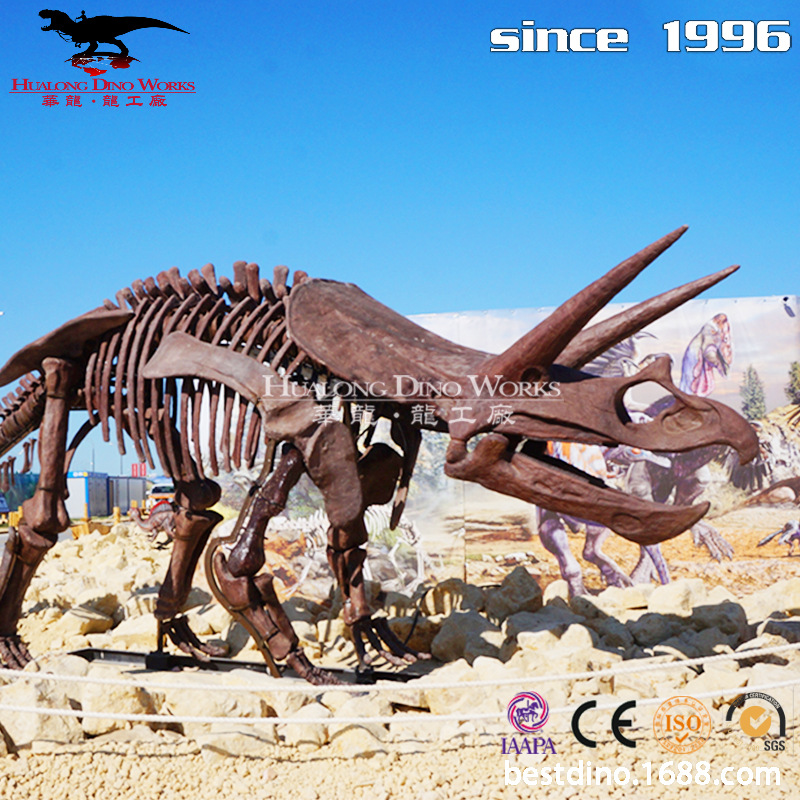 玻璃钢仿真恐龙化石骨架博物馆科普讲座主题景区引流打卡骨架模型