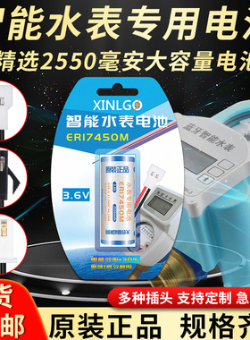 3.6V智能水表电表专用锂电池ER17450M仪表流量计RAM记忆PLC原装