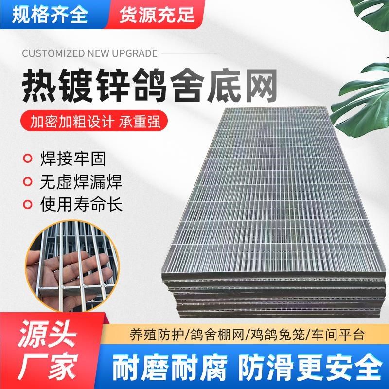 热镀锌鸽舍专用地网铁格栅围栏方孔铁网格防锈精品养殖猪狗笼专用