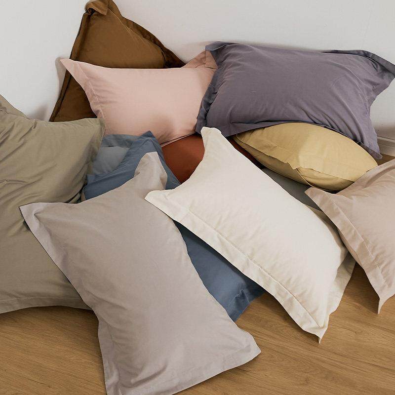 高级感冬季100支长绒棉磨毛枕套一对装纯棉加厚柔软枕头套48x74cm