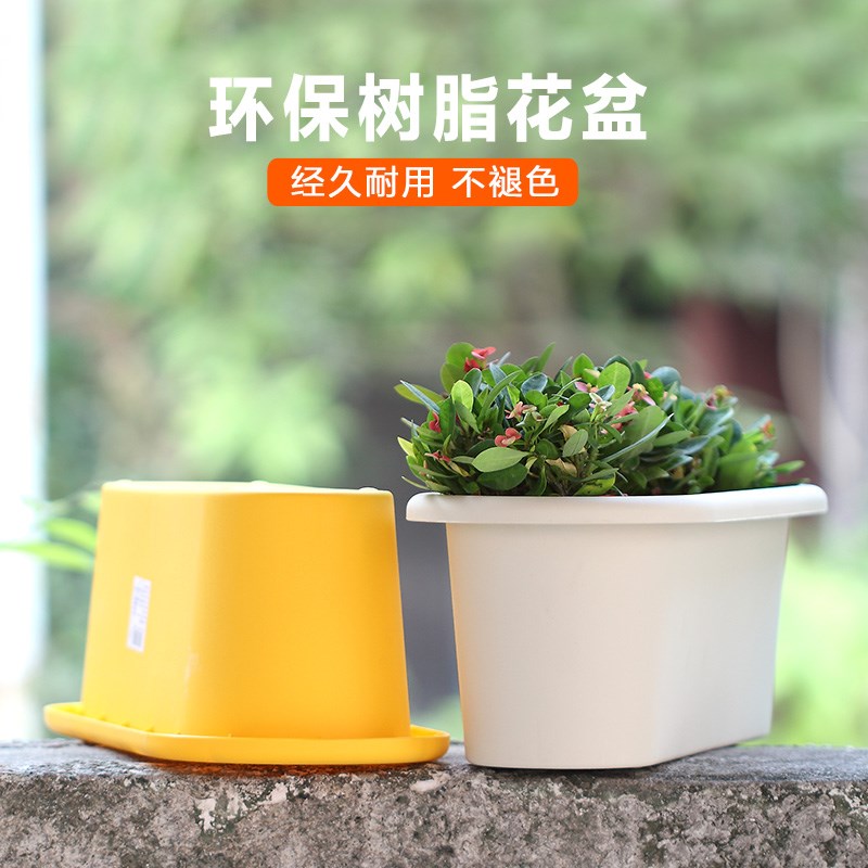 爱丽思加厚树脂花盆长形椭圆花盆0种花种菜浅型花盆可储