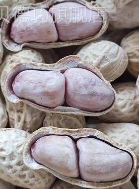 水宗龙岩煮白晒干花生蒜香五香花NZU生米正带壳零咸酥炒货香脆特