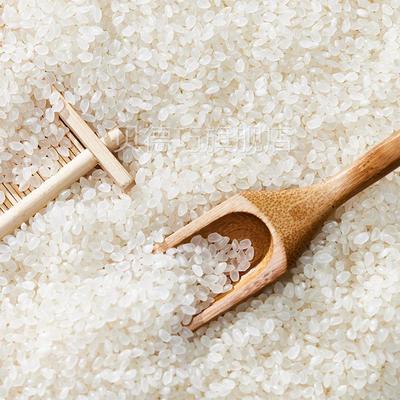 鱼台大米5k空g一FGZ袋源头工厂粳米真10斤新米米农家香珍珠粒OEM