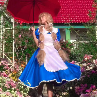 爱丽丝服装爱丽丝梦幻仙境公主装童话故事公主裙 演出服 舞台服