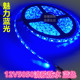 超亮蓝色灯带暖白滴胶防水G七彩红绿蓝灯条酒吧装 饰