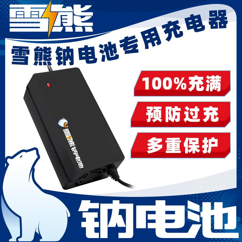 雪雄钠离子电池充电器电动车充电器12v24v36v48v60v72v各种容量