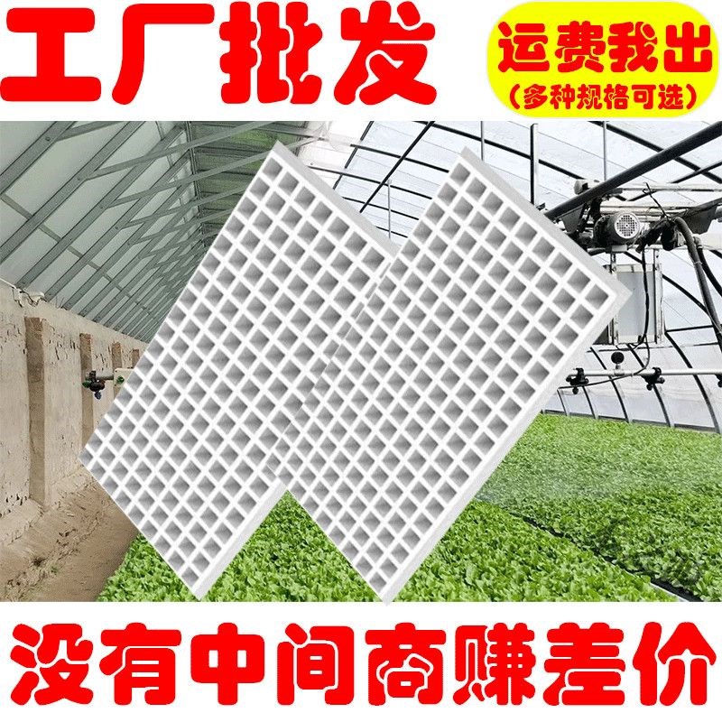 白色泡沫漂浮育苗盘水上漂浮托盘105 162 136 160 162 200孔