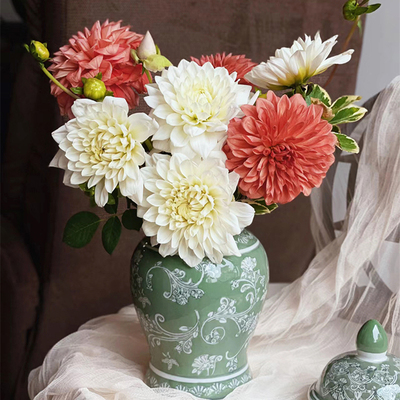 大丽花鲜切花鲜花宝熠花卉云南基地直发室内水养插花白色鲜花速递