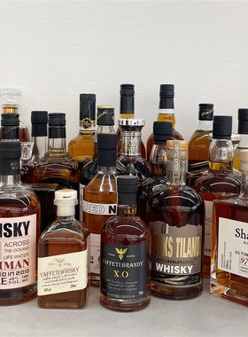 现代轻奢样板间酒柜酒窖层板装饰红酒洋酒威士忌香槟仿真假酒摆件