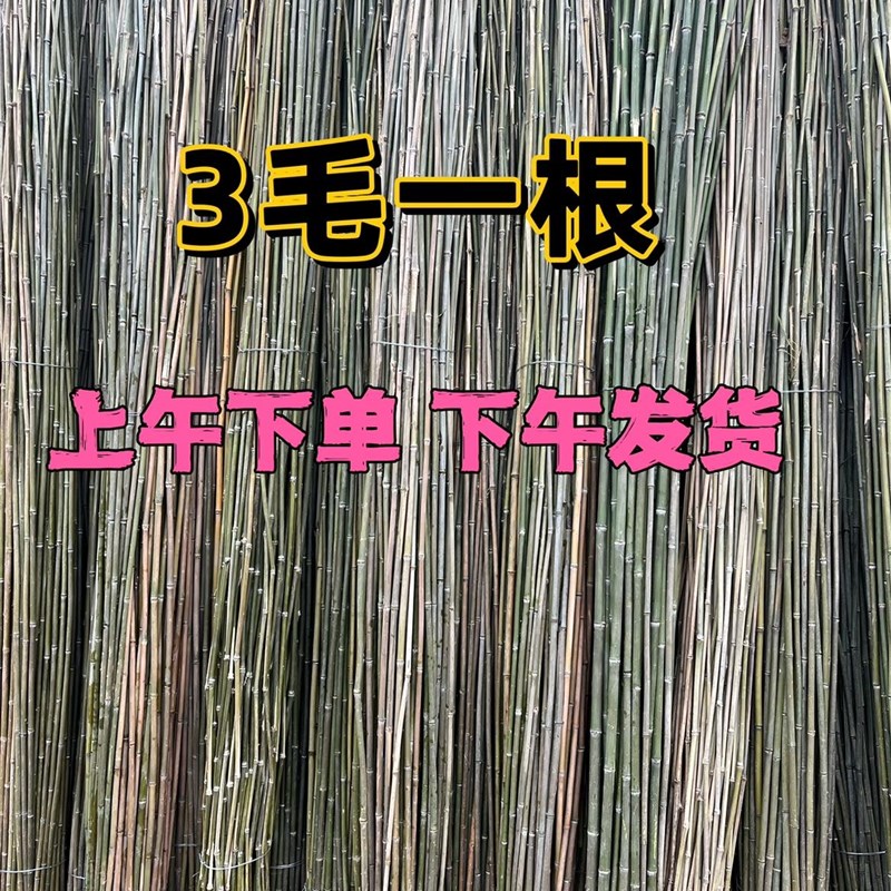 小竹杆爬藤架竹竿菜园搭架豆角黄瓜支架竹篱笆栅栏彩旗杆防腐装饰