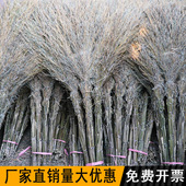 大扫把竹扫帚扫地马路扫院子 塑料丝庭院家用单个笤帚长扫室外