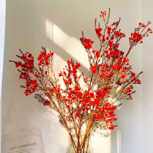 平头澳洲腊梅鲜花云南直发红色澳梅水培植物插花花期长蜡花鲜切花