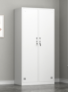 钢制二门更衣柜员工储物柜带锁宿舍办公楼2门换衣柜双开门收纳柜