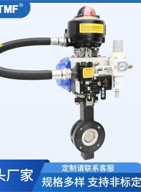 SHTMF 气动三偏心蝶阀D672F 16C/304 防爆型