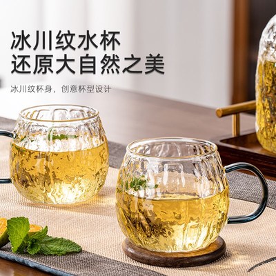 耐高温玻璃喝水杯子套装家用轻奢高级感待客厅高颜值带把手泡茶具