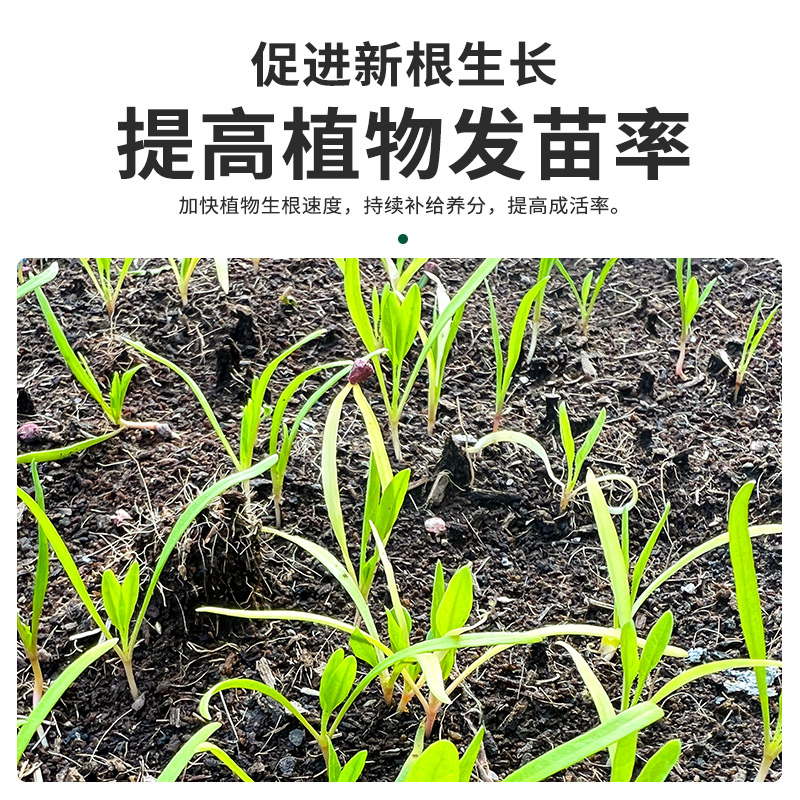 种菜专用土营养土阳台种菜土种花土壤有机土蔬菜育苗家用通用肥料