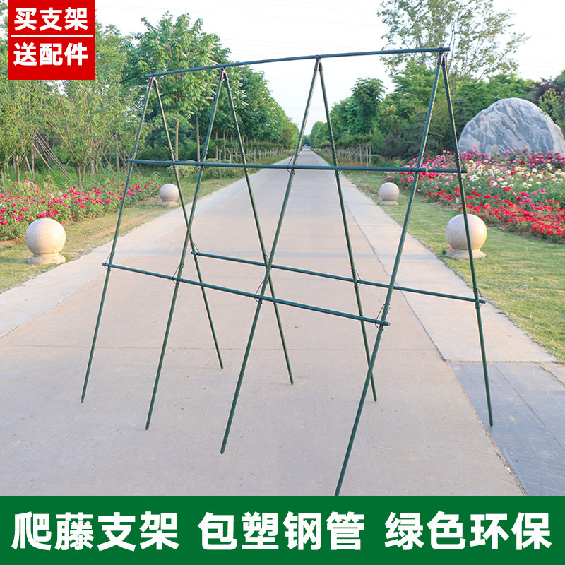 包邮爬藤架黄瓜番茄豆角丝瓜葫芦支撑杆西红柿茄子架子百香果蔬菜