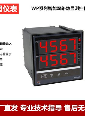 上润仪表WP-D923/WP-D823智能双回路数字压力显示变送控制温控器