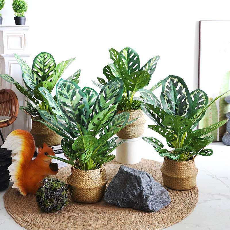 仿真绿植孔雀木小盆栽摆件客厅室内装饰北欧假植物仿生龟背叶盆栽