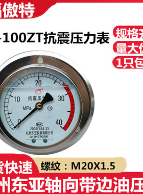 杭州东亚YN100ZT轴向带边耐震抗振压力表0-10 16 25 40 60 100MPA