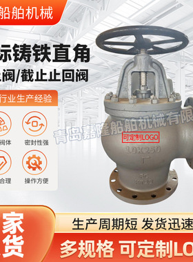 日标铸铁直角截止阀F7308F7376 750246 750247 750248 750249