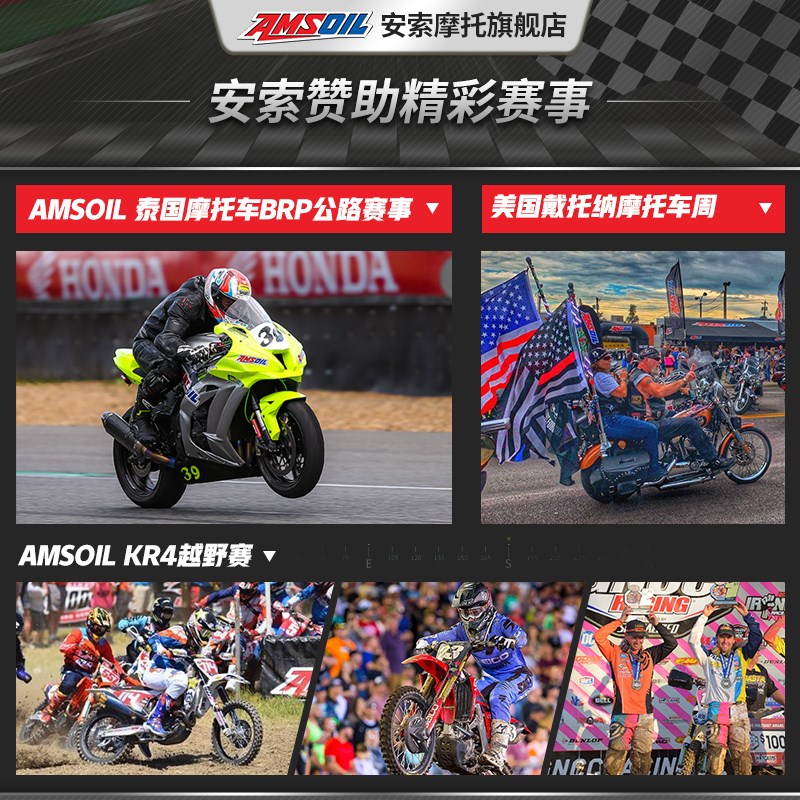 安索 除积碳清洗剂燃油宝汽油添加剂辛烷值提升剂/乙醇除水