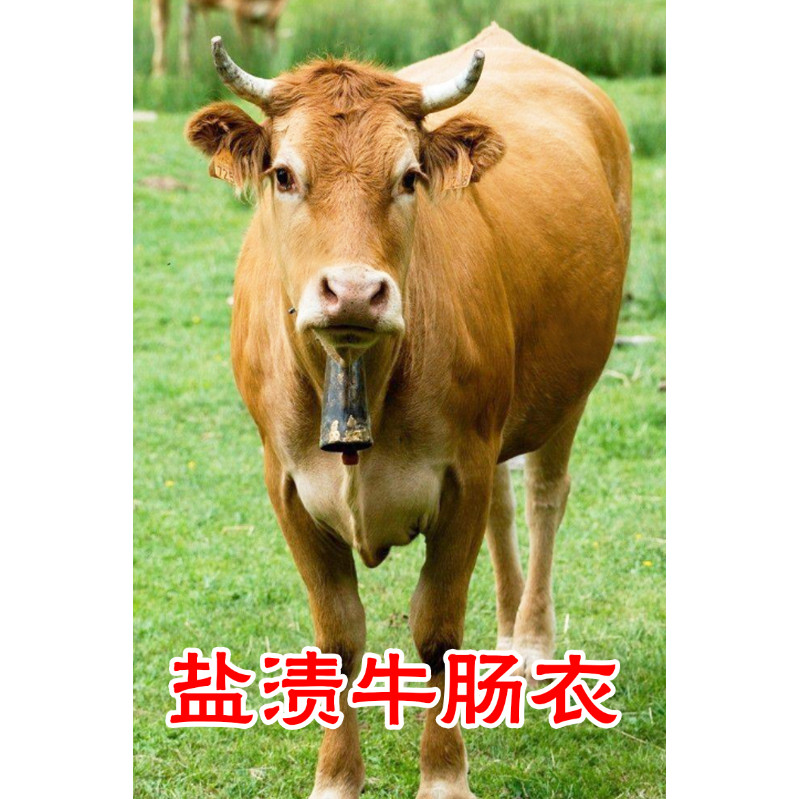 清真牛肠衣盐渍肠衣7路灌25斤肉灌腊肠红肠风干肠等香肠家用