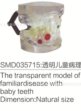 SMD035715透明儿童病理